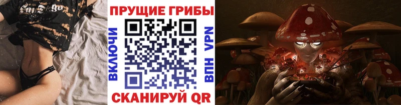 закладки  Краснотурьинск  Псилоцибиновые грибы прущие грибы 